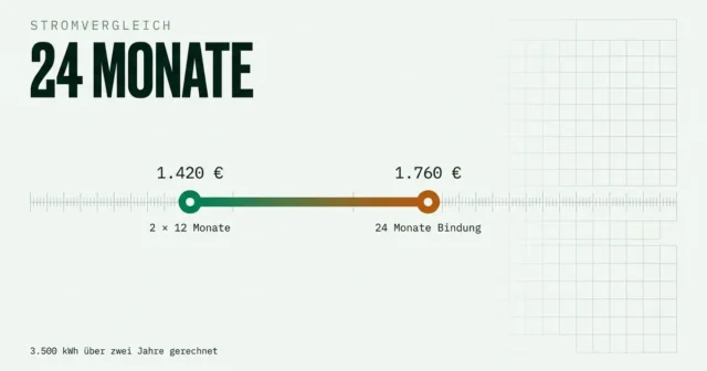 Stromtarif mit 24 Monaten Preisgarantie: lohnt sich die Bindung?