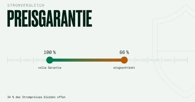 Stromvergleich mit Preisgarantie: eingeschränkt oder voll?