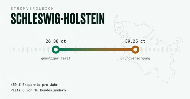 Stromvergleich Schleswig-Holstein: günstigsten Stromanbieter finden