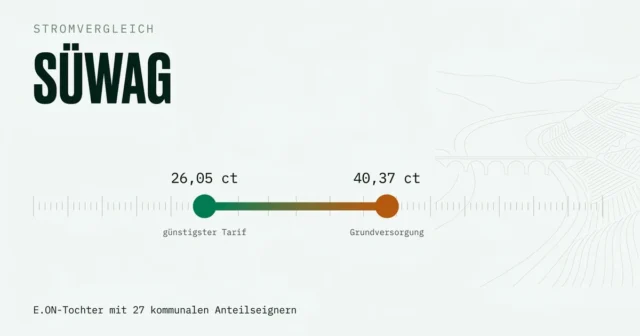 Süwag im Stromvergleich: Regionalversorger an Rhein und Main